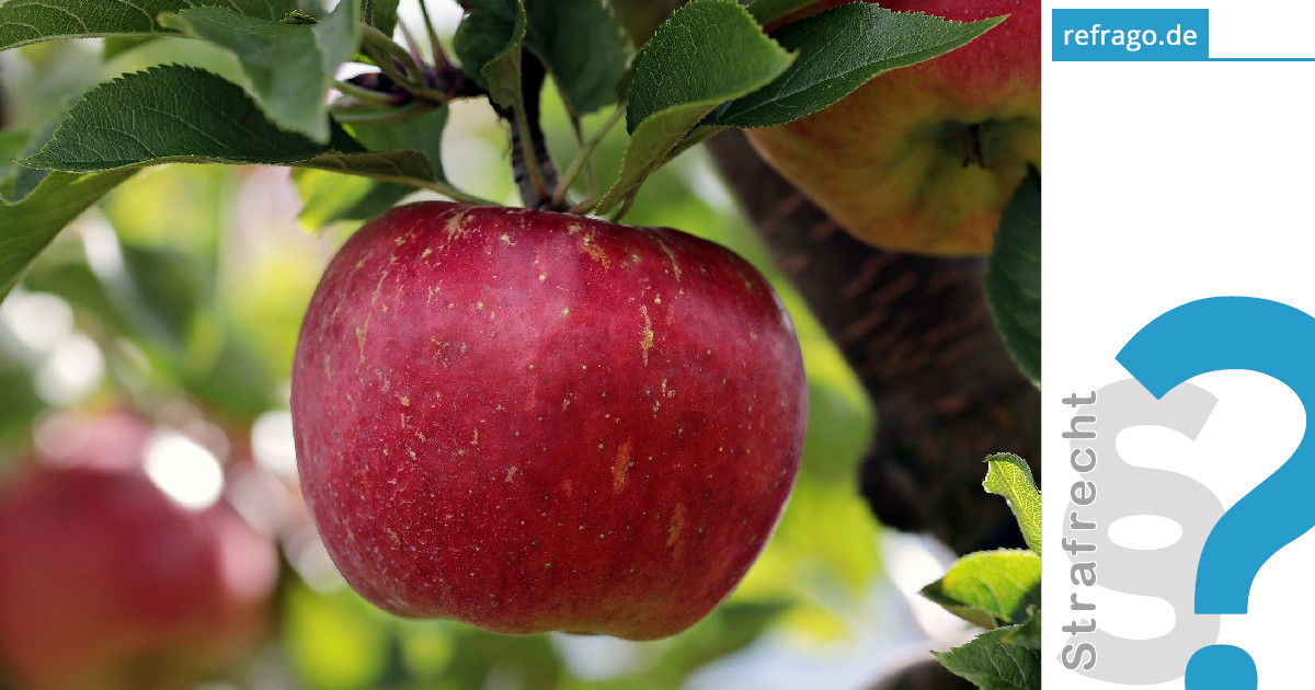 Ist Mundraub strafbar? - refrago