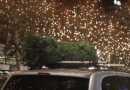 Weihnachts­baum-Transport auf Autodach oder im Kofferraum: Darf man einen Weihnachts­baum auf dem Autodach transportieren und wie weit darf der Weihnachts­baum aus dem Kofferraum ragen?